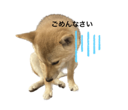 569977486
