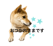 569977489