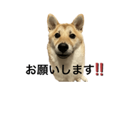 569977501