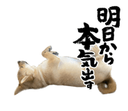 569977505