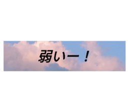 569987994