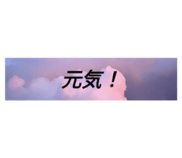 569988020