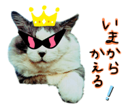 570058436
