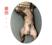 570066519