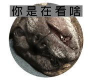 570066521