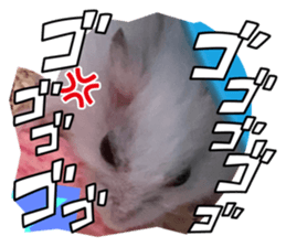 570078551