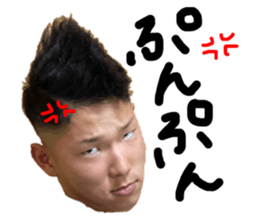 570130293