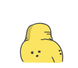 570157556