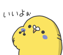 570157564
