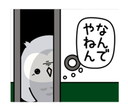 570164603