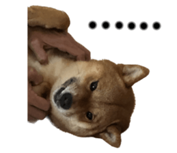570180898