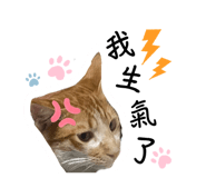 570199608