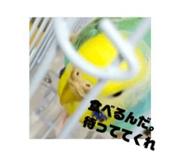 570221908