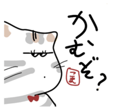 570233737