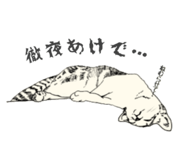 570235951