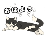 570235952