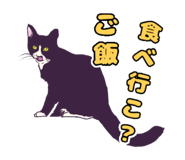 570235970