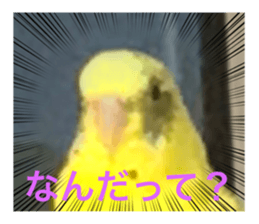 570281450