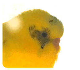 570281453