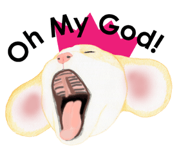 5702815