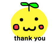 570328806
