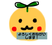 570328808