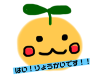 570328809