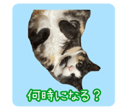 570337377