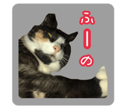 570337387