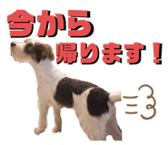 570343833