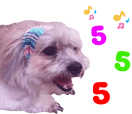 570373842
