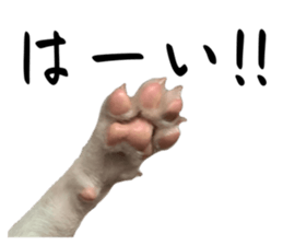 570439714