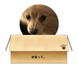 570440086