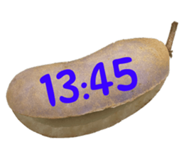 570443734