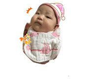 570451904