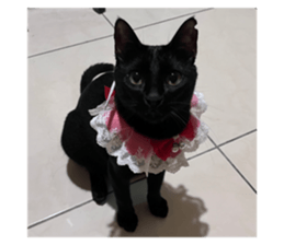 570459012