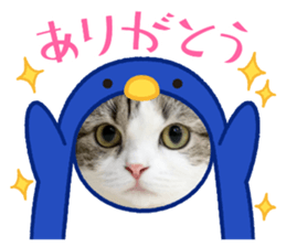 570463017