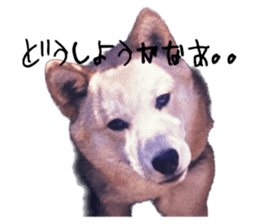 570480824