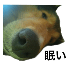 570483365