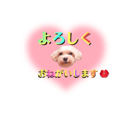 570522179