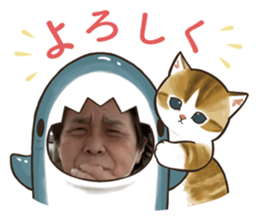 570541217