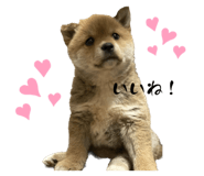 570551770