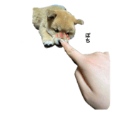570551777