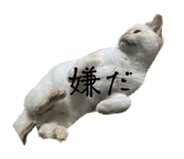 570563105