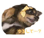 570569636