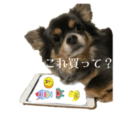 570569649