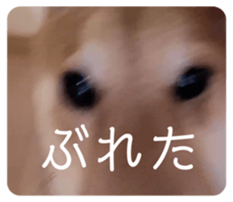 570570988