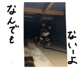 570581595