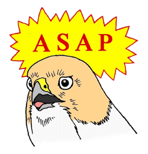 5706050
