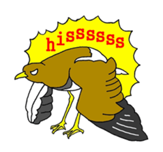 5706060